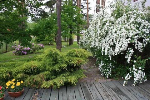 Из открытого доступа