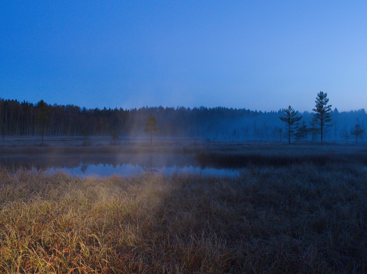 Рассвет на верховом болоте