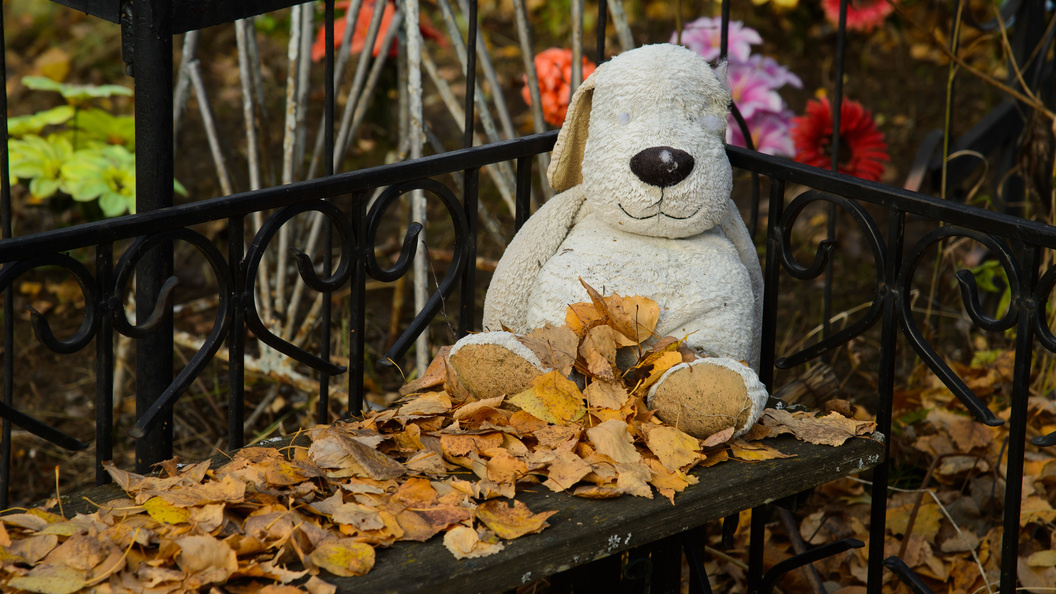    Dmitry Chasovitin/Globallookpress