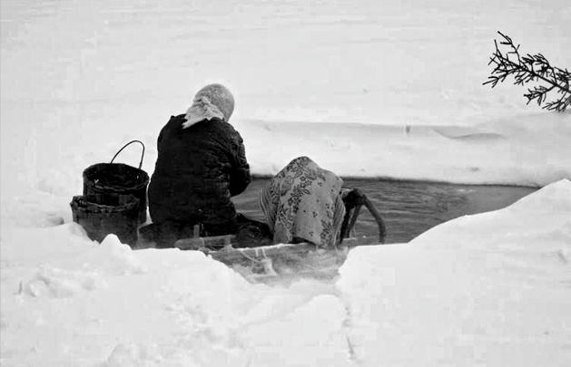 Одной такой сельчанке в Красноярском крае предстала страшная картина. Фото из открытых источников.