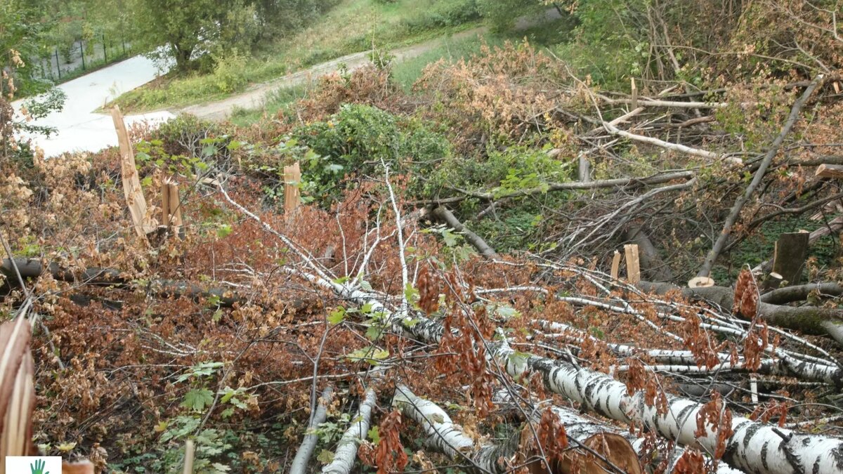     Источник: vk.com/dront42