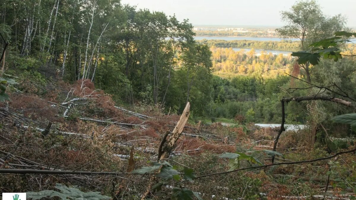     Источник: vk.com/dront42