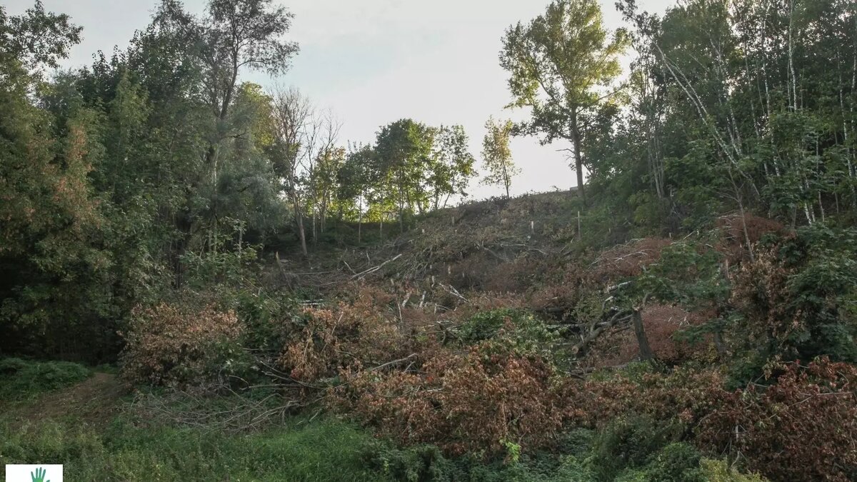     Источник: vk.com/dront42