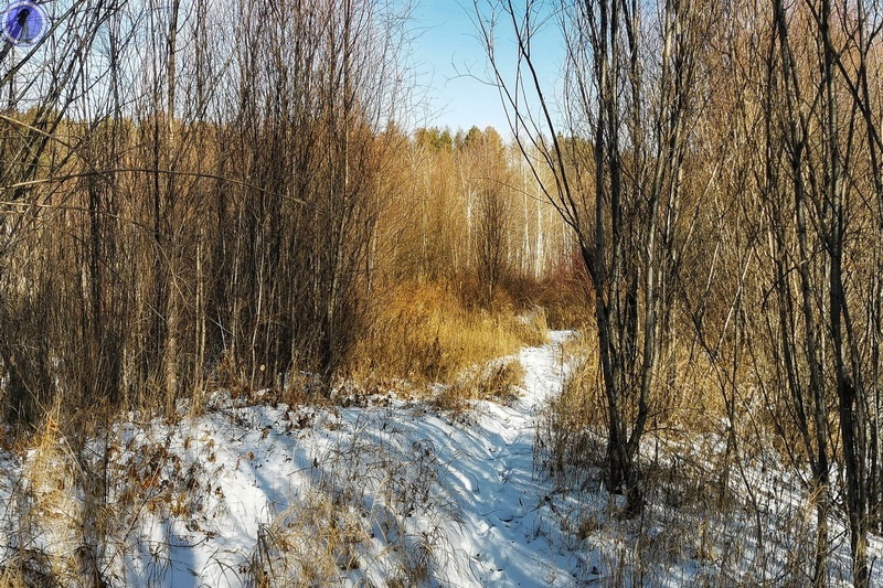 -9