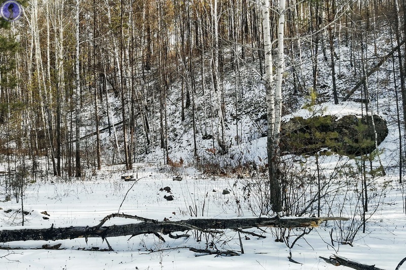 -11