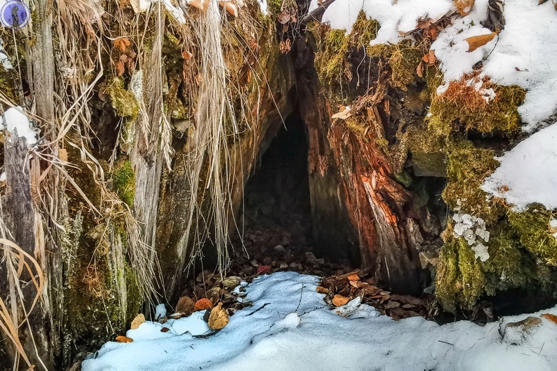 -14