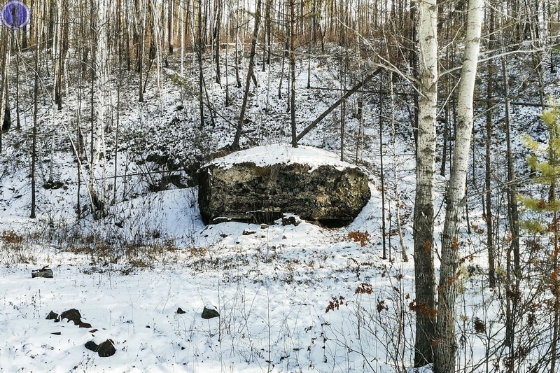-20