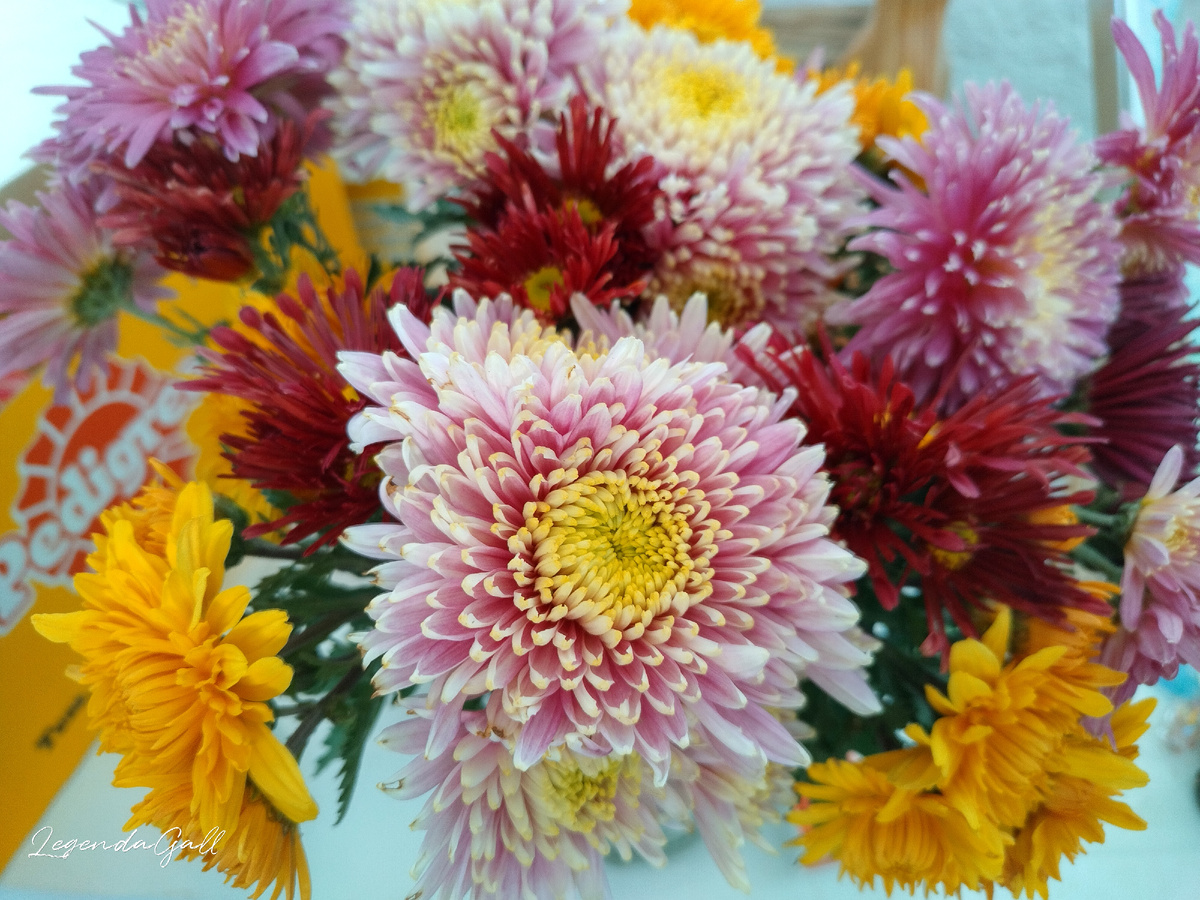 С одной стороны вот такой