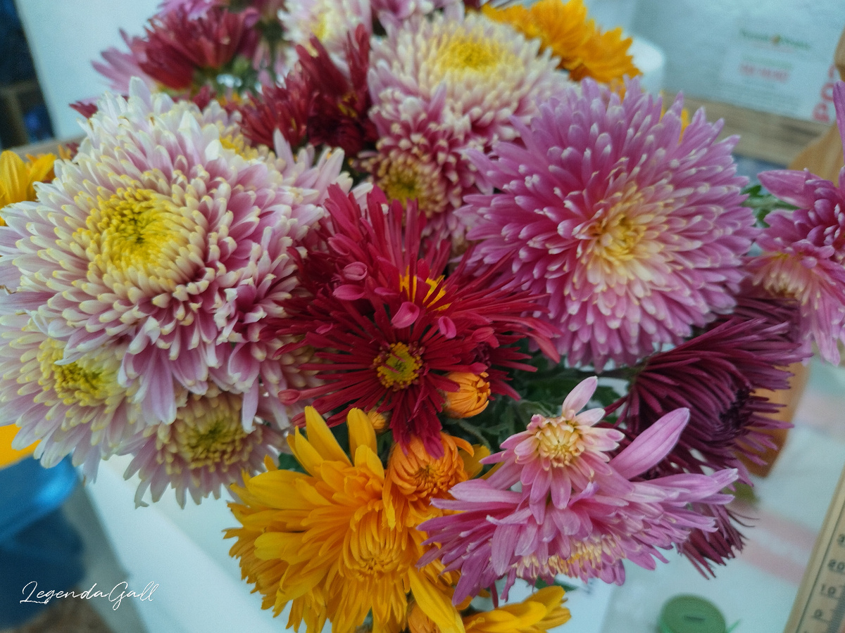 А с другой вот такой )))