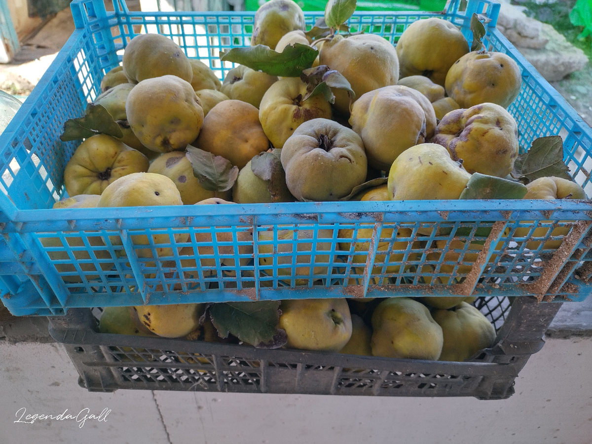 Это я уже часть забрала на переработку