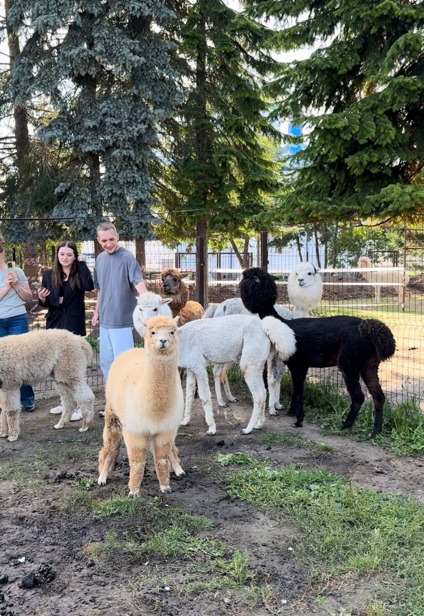 Те самые пушистые милашки