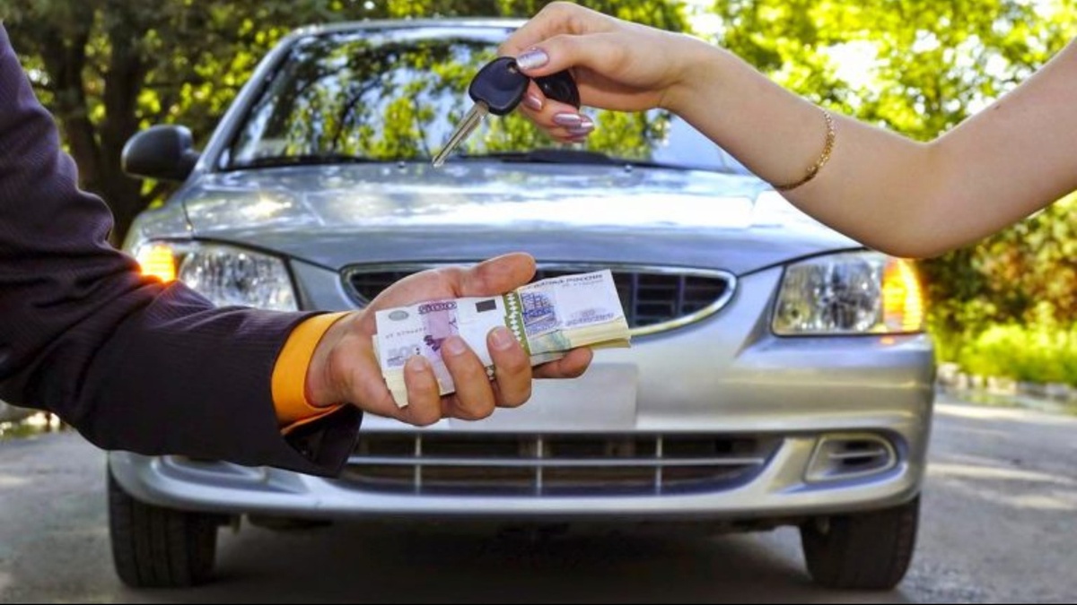 Фото в свободном доступе Яндекс картинки