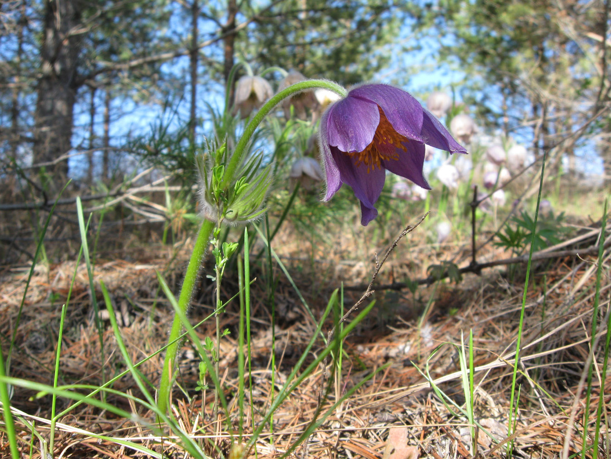 Фото: https://vsegda-pomnim.com