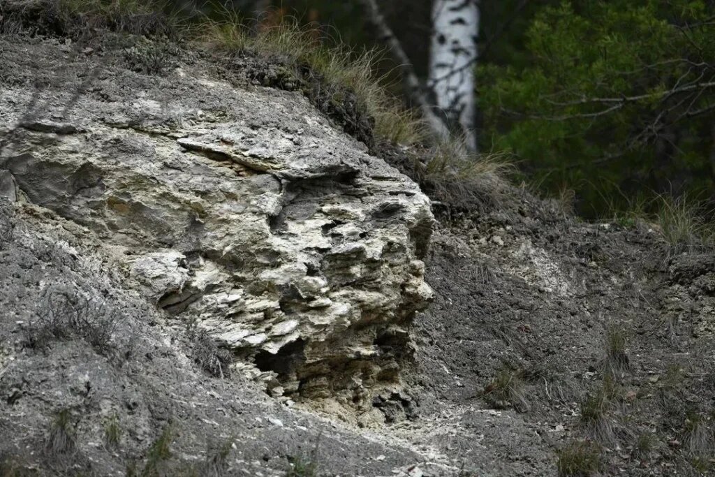    Фото: В курсе.ру Екатерина Устькачкинцева
