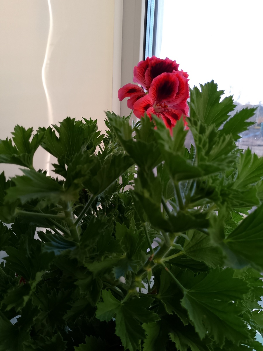 (фото из архива автора)