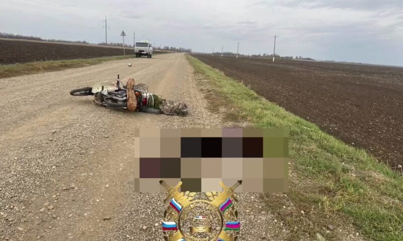    Фото t.me/gibdd123region