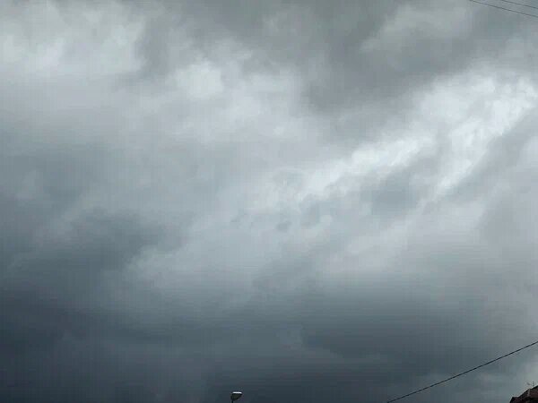    Фото: Юрий Серебренников/BFM Кубань