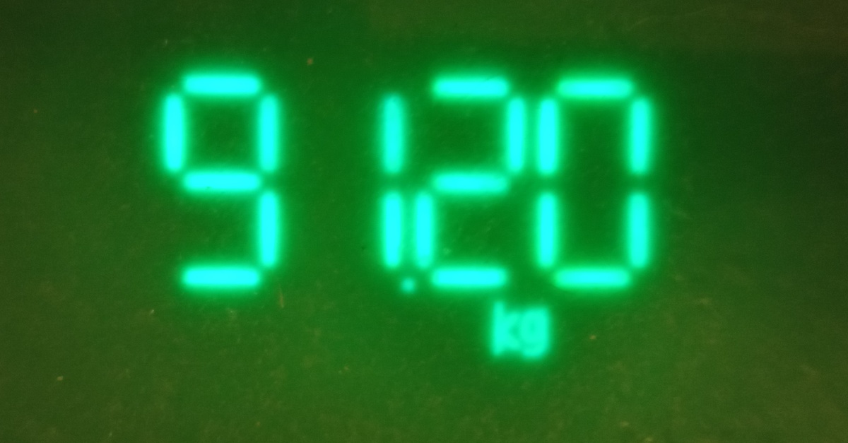 Фото автора. 02.11.2024 г.