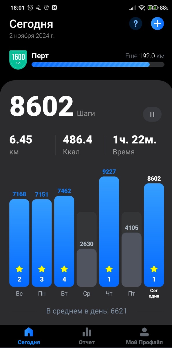 Фото автора. 02.11.2024 г.