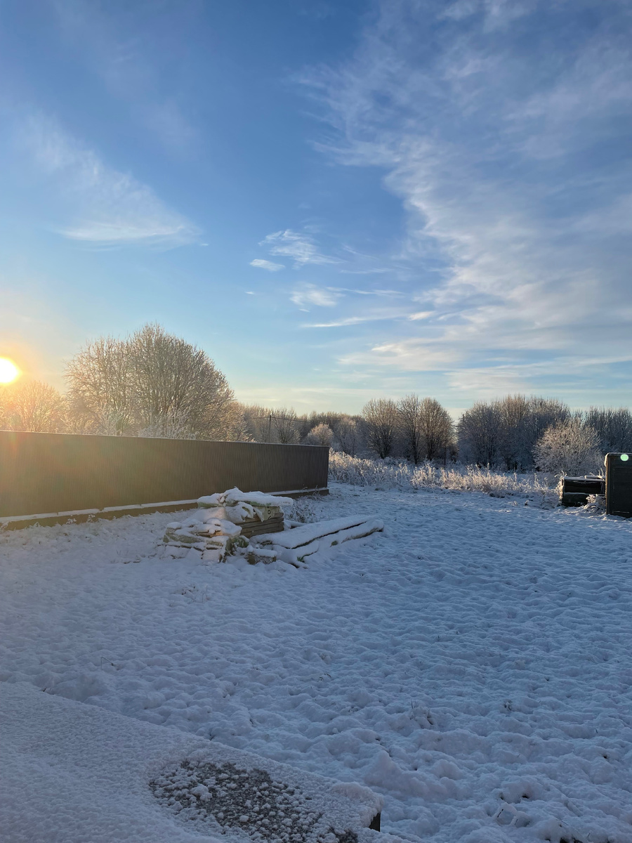 Утренняя картина 2 ноября