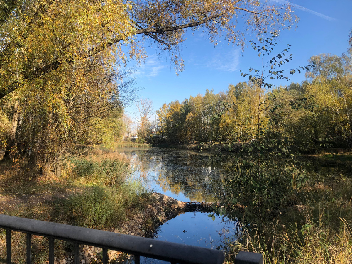 Парк Покровское-Стрешнево