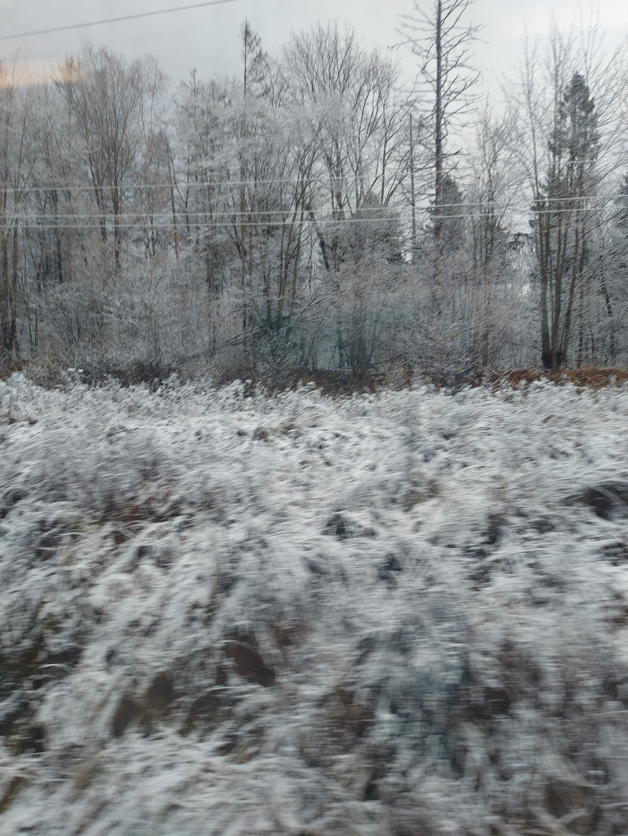 Зимний вид из окна поезда