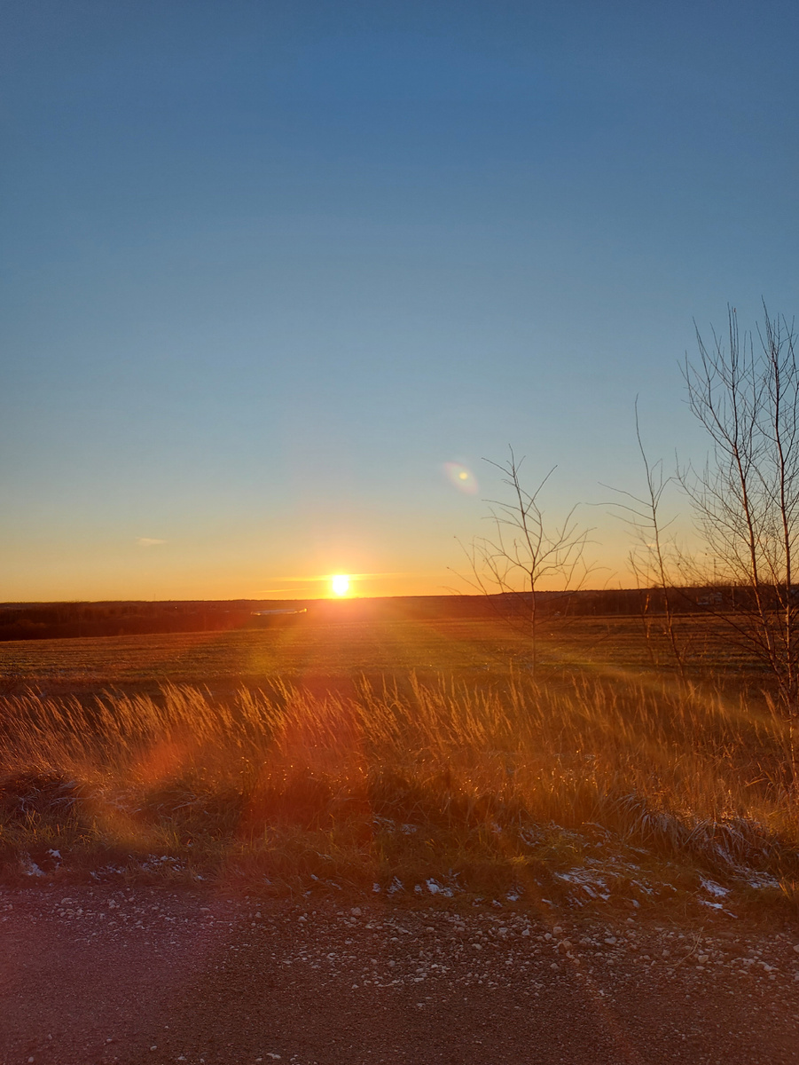 "Нивы сжаты, рощи голы"