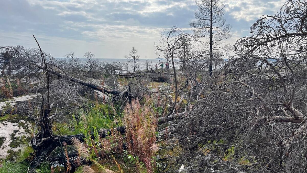Фото с трассы 25км. Екатерина Романова