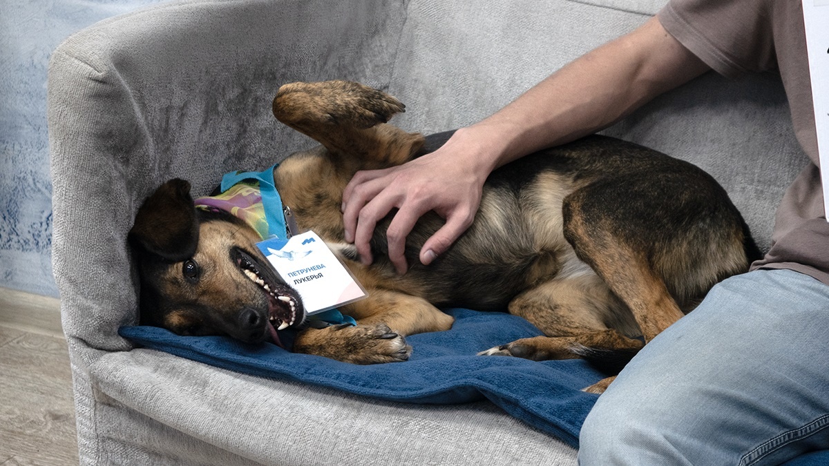 Лукерья Петрунева 