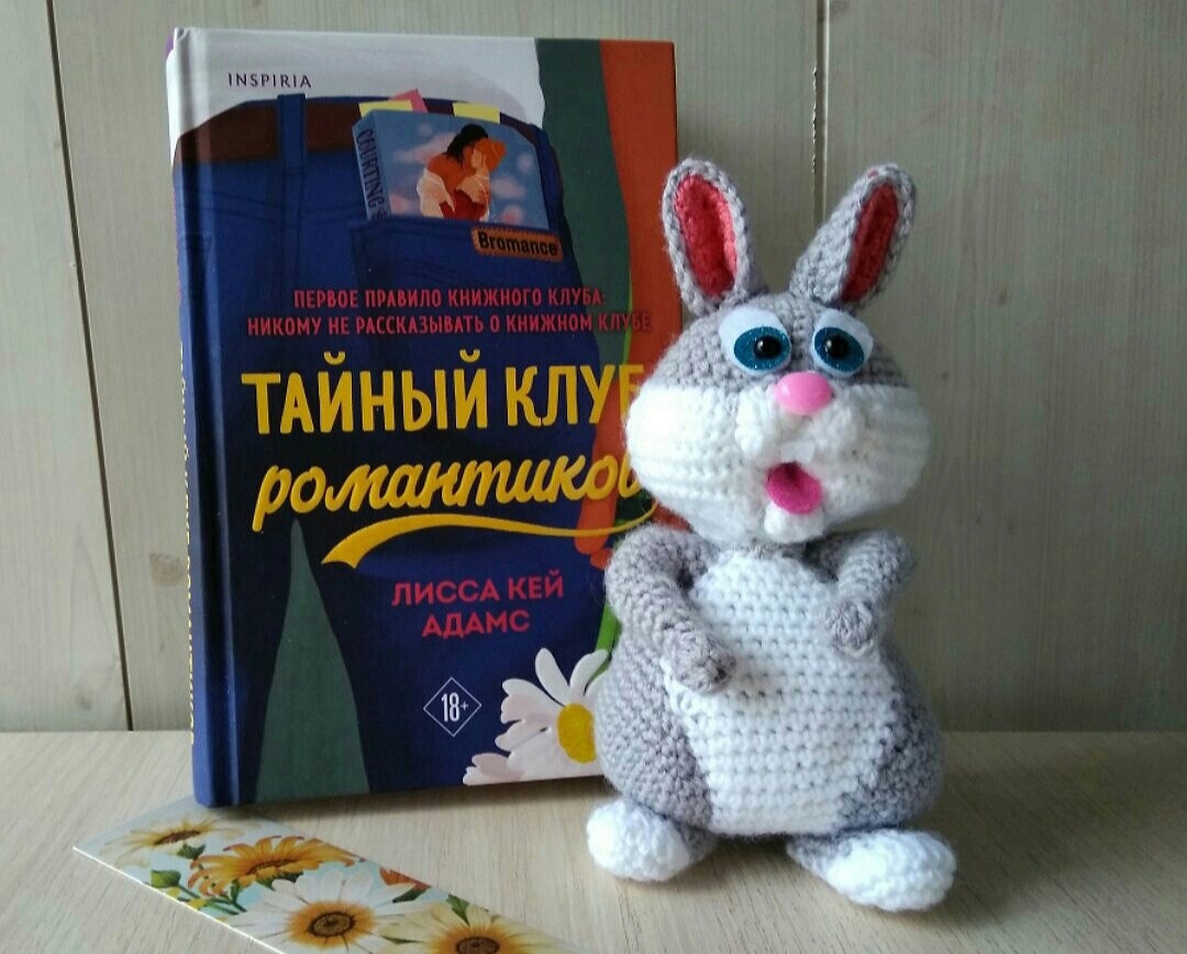 Лисса Кей Адамс "Тайный клуб романтиков". Фото из моего архива