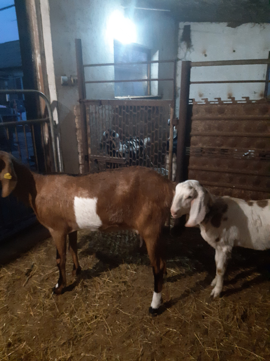 Мелковат конечно,но все случилось)))