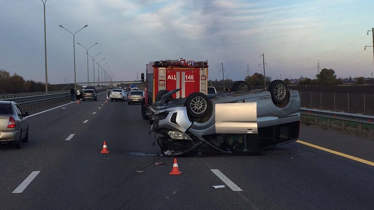    Фото: t.me/proc_23