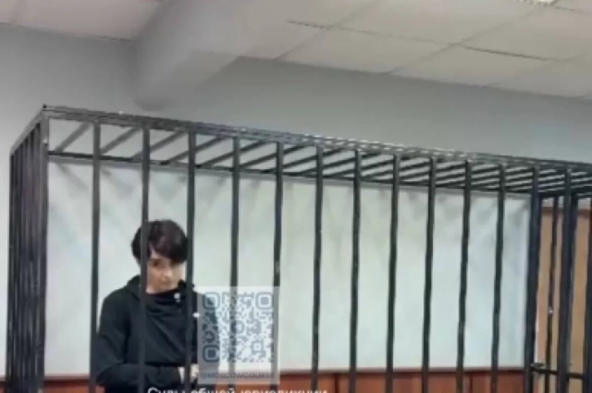    В Москве арестовали женщину за хулиганство и оскорбления рабочих «руснёй»