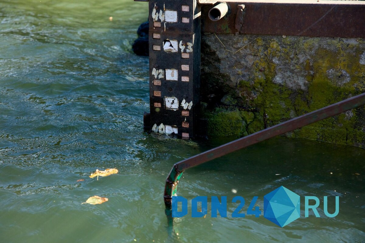    ДОН24   📷   ДОН24   📷   ДОН24