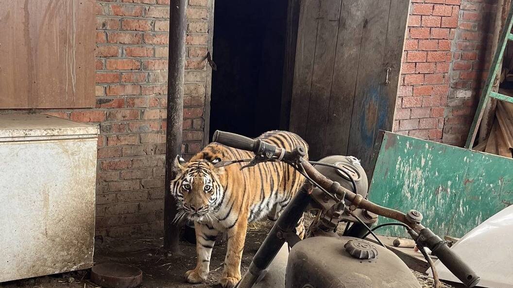    Фото: пресс-служба прокуратуры Краснодарского края