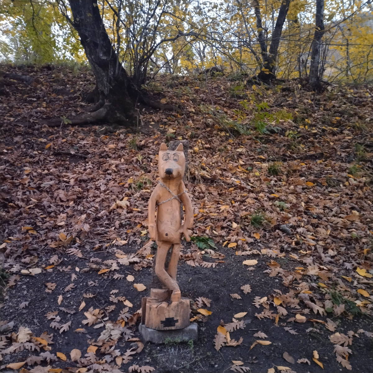 Фото автора канала