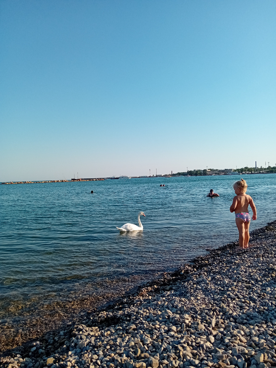 Личные фото.