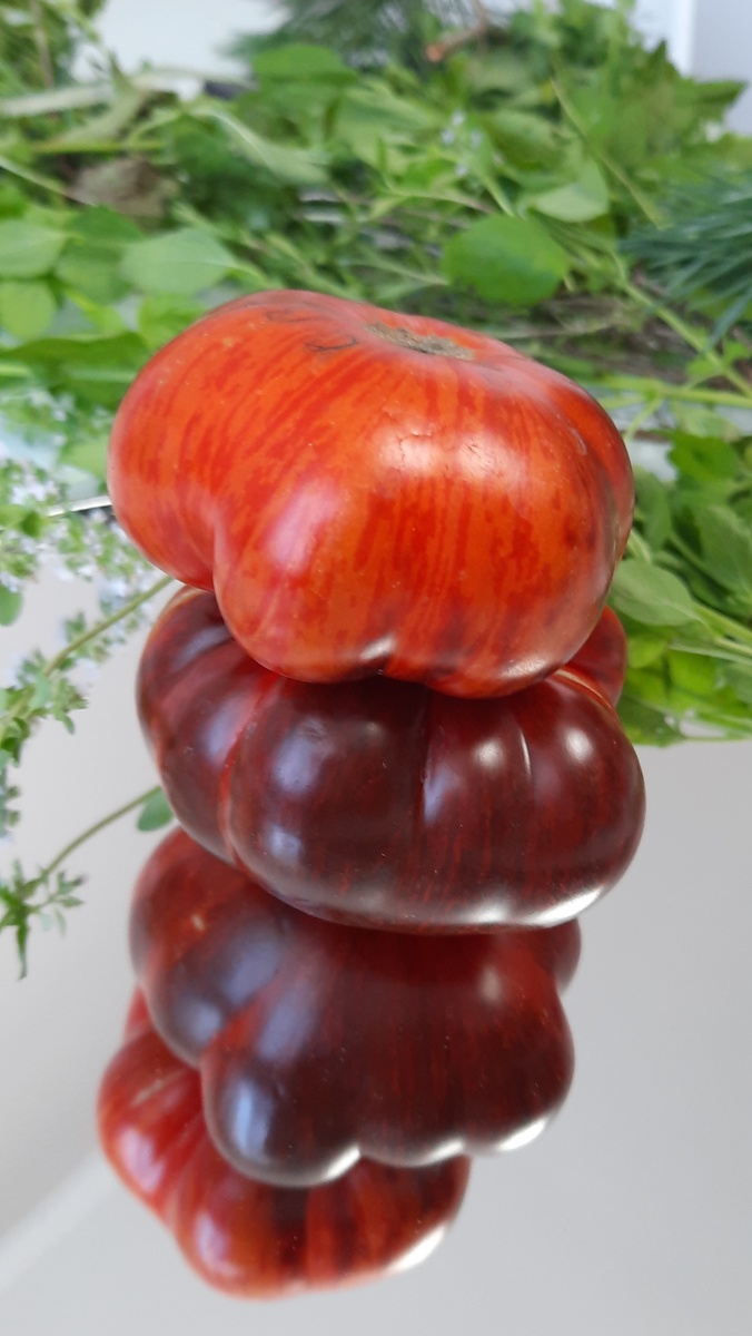 Такими запомнились мне первые плоды. Первенцы самые желанные, красивые, их хочется приукрашать и хлопать в ладоши! 