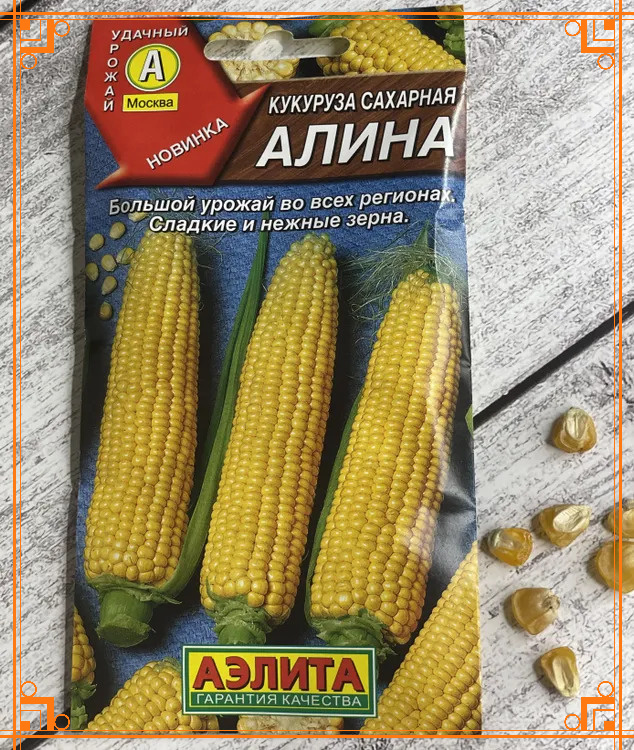 Фото из Интернета. Сорт кукурузы Алина: описание, характеристики, особенности выращивания