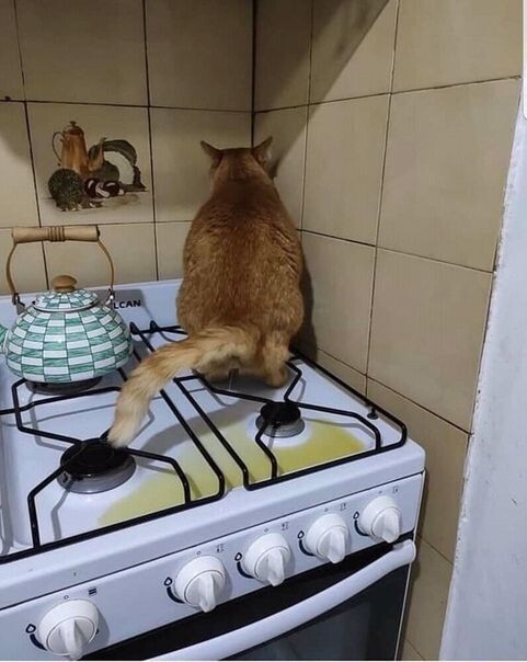 Ужас какой... 