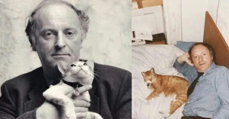 Бродский и миссисипи. Иосиф бродский с котом. Кот иосиф. Иосиф бродский и кот миссисипи. Кот бродского миссисипи.