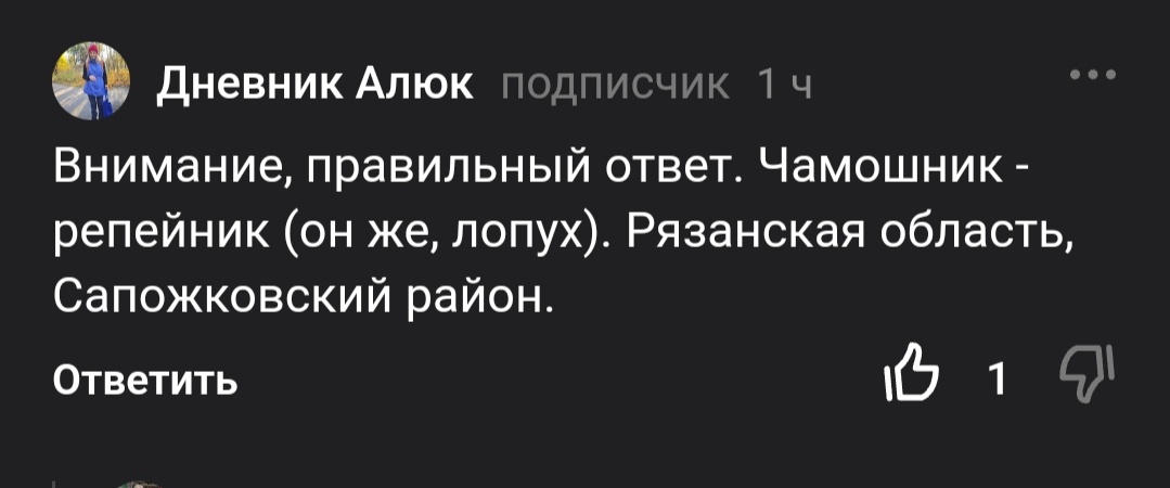 Правильный ответ.