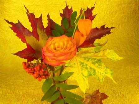 картинка из инета