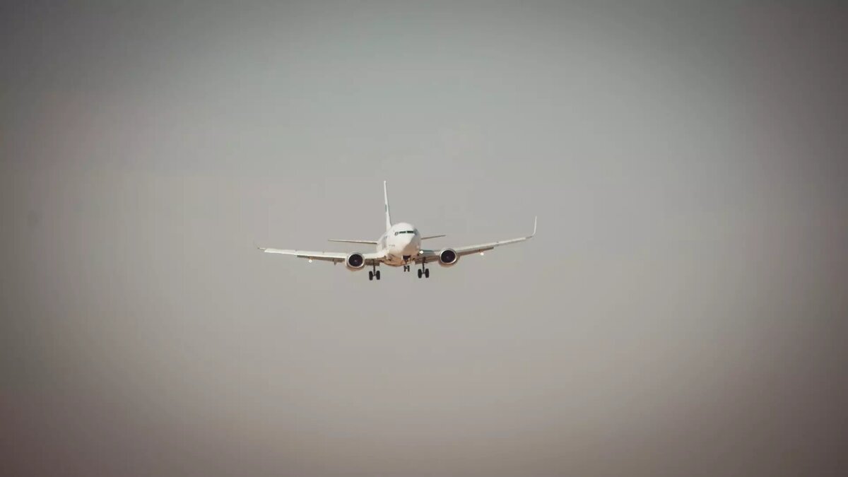     Источник: 1MI