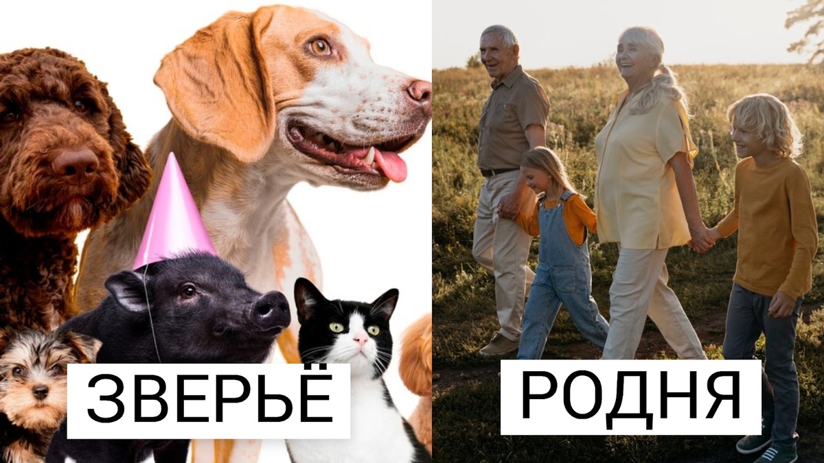 фото от freepik