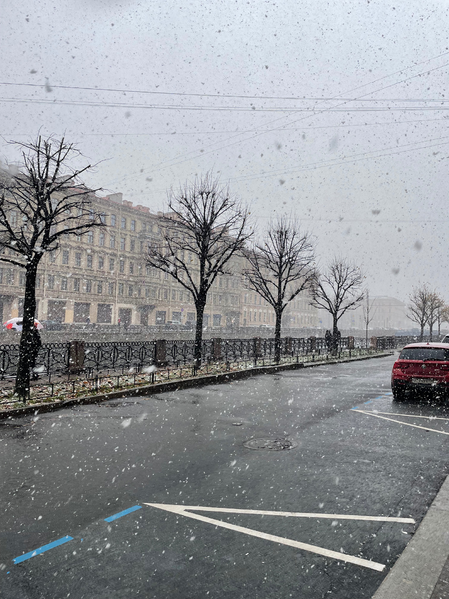 Шел мокрый снег с дождем, ветер, холод