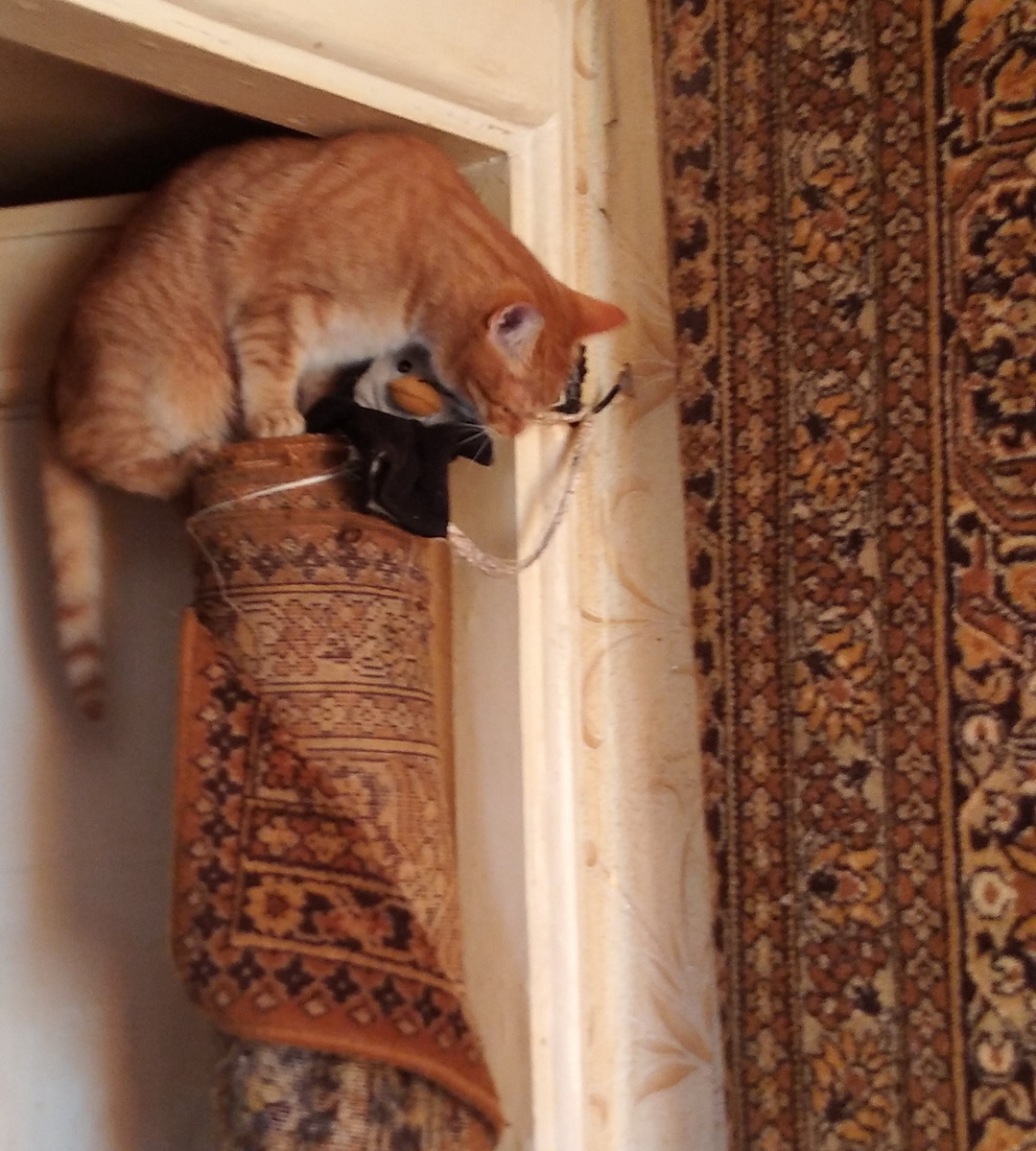 Личное фото