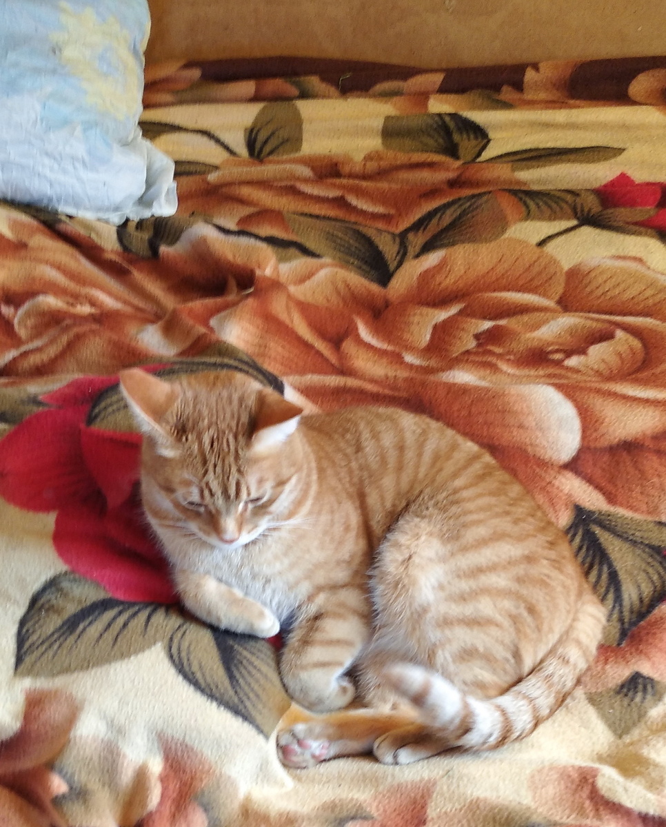 Личное фото