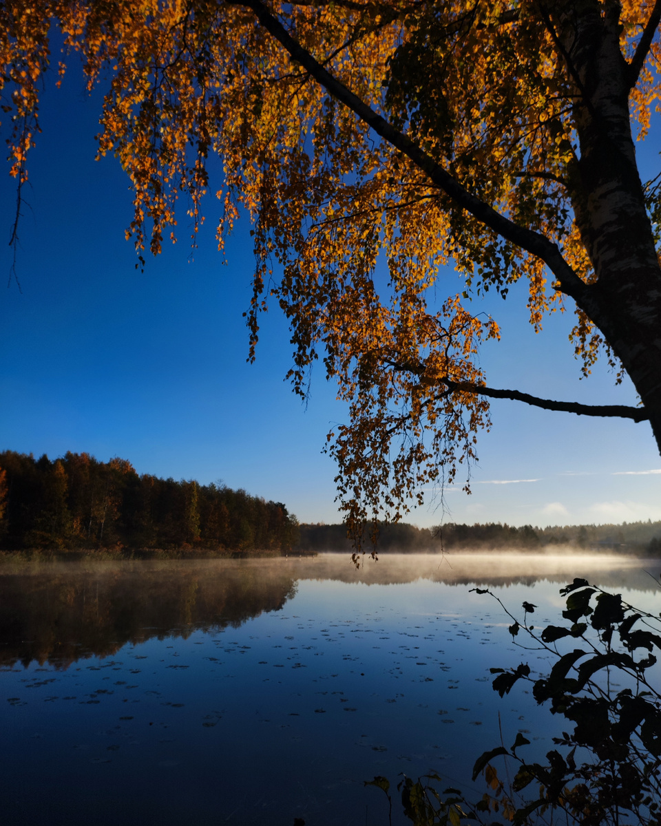 Озеро утром