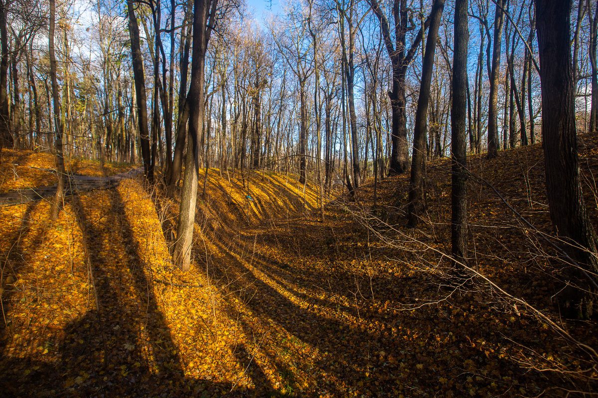 Солнечный ноябрьский день в парке "Царицыно". Москва. Фото автора статьи 
